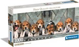 Puzzle 1000 Panorama Compact Pieski Beagles