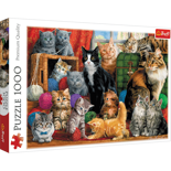 Puzzle 1000 el. Kocie spotkanie Trefl 10555