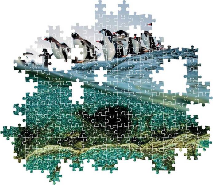 Puzzle 1000 Compact National Geographic Pingwiny