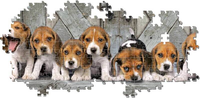 Puzzle 1000 Panorama Compact Pieski Beagles 